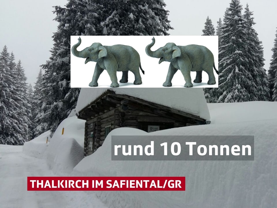 Viel Neuschnee, Mitten im Bild eine Hütte mit viel Schnee auf dem Dach. Dazu zwei Elefanten. 