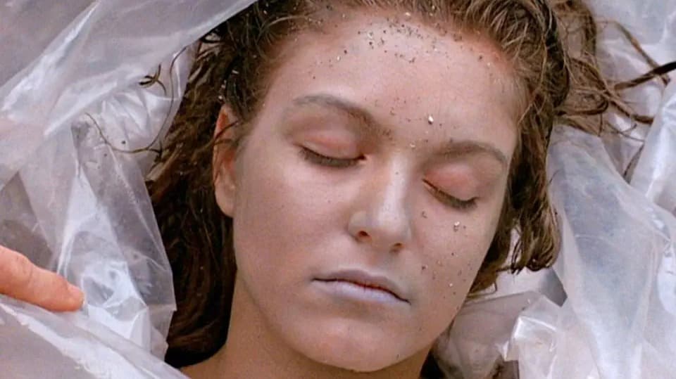 Laura Palmer wird als Leiche eingewickelt in eine Plastiktüte gefunden.