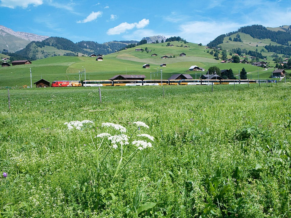 Ein Zug unterwegs in den Hügeln des Berner Oberlands.