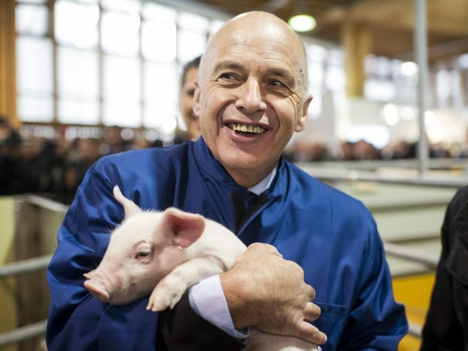 Ueli Maurer hält ein Schweinchen. 