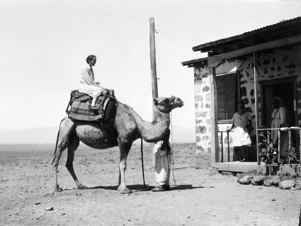 Altes Foto einer Frau, die auf einem Kamel sitzt. 