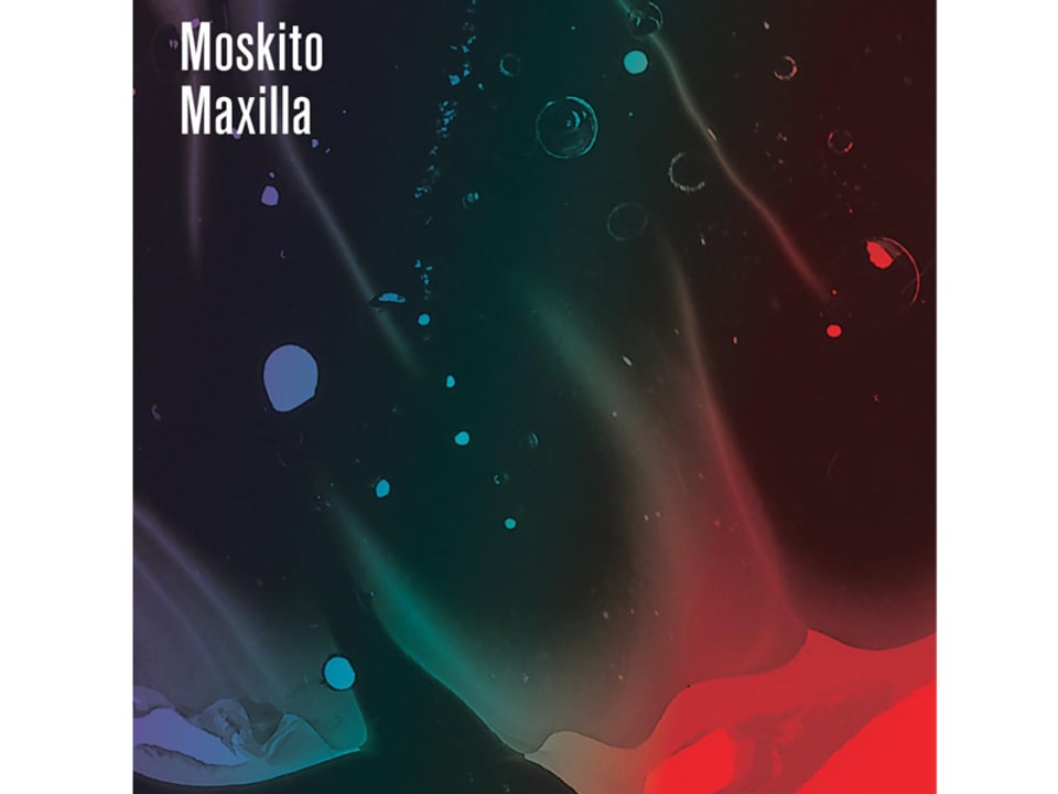 Moskito - Maxilla