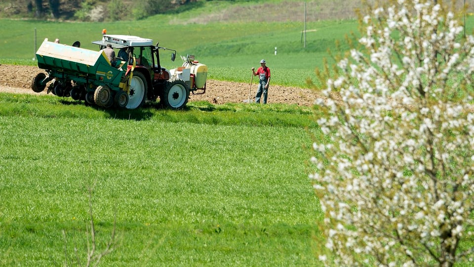 Bauern mit einem Traktor auf dem Feld.