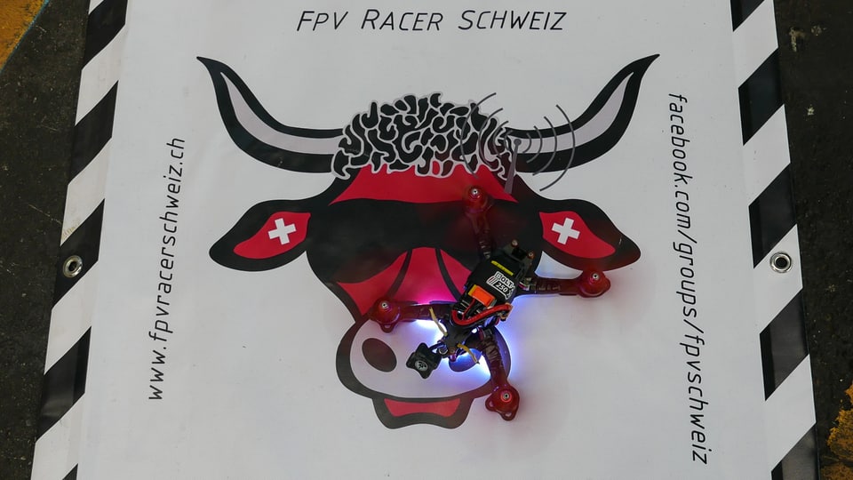 Das Logo der FPV-Racer Schweiz (roter Stierkopf mit Schweizerkreuz in den Ohren und coller Sonnenbrille), darauf eine Racer-Drohne.