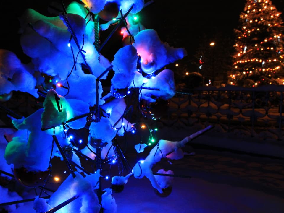 Verschneiter Weihnachtsbaum mit blauen Lichtern.