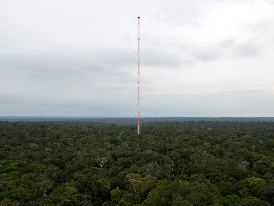 Ein hoher, schmaler Turm inmitten des Dschungels