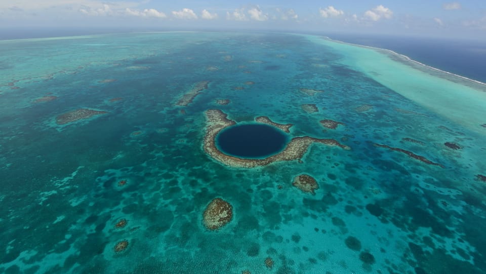 Das Belize-Korallenriff. 