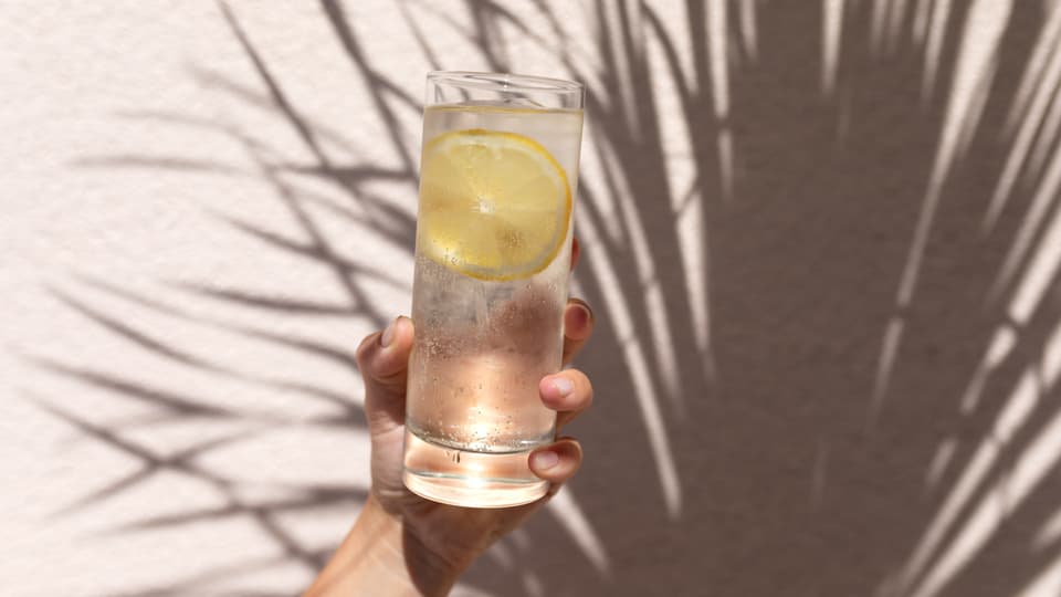 Ein Glas Wasser mit Zitronenschnitz wird hochgehalten.