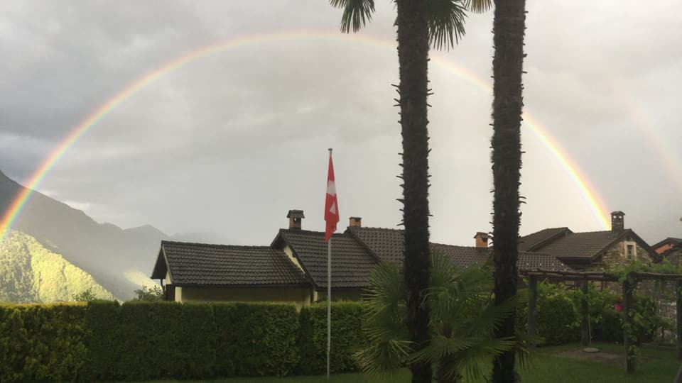 Regenbogen hinter Palmen und Tessiner Häusern.