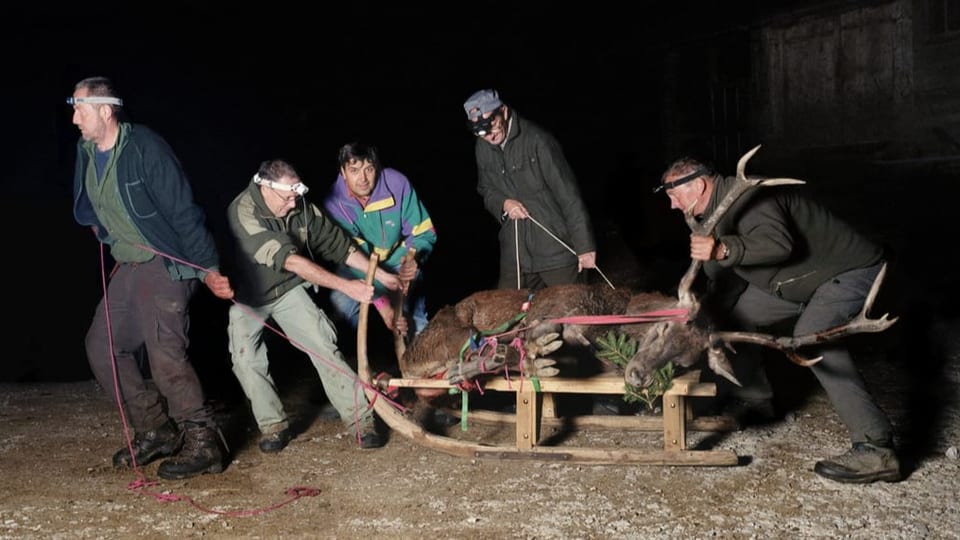 Männer ziehen einen Schlitten, auf dem ein toter Hirsch liegt.