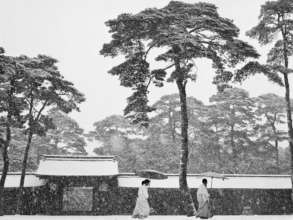 Japanische Möche im Schneetreiben. 
