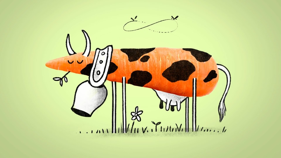 Zeichnung: Über das Bild einer Karotte ist eine Kuh gezeichnet.
