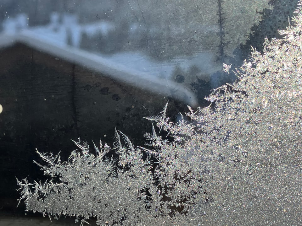 Goms/VS Eisblumen an einem Fenster.