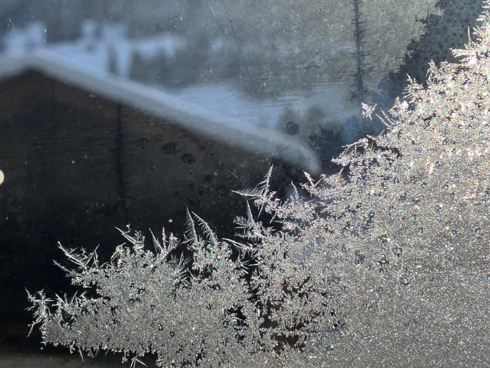 Eisblumen an einem Fenster.