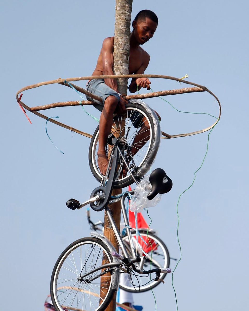 Ein Mann montiert ein Fahrrad von der Spitze des Baumstammes ab.