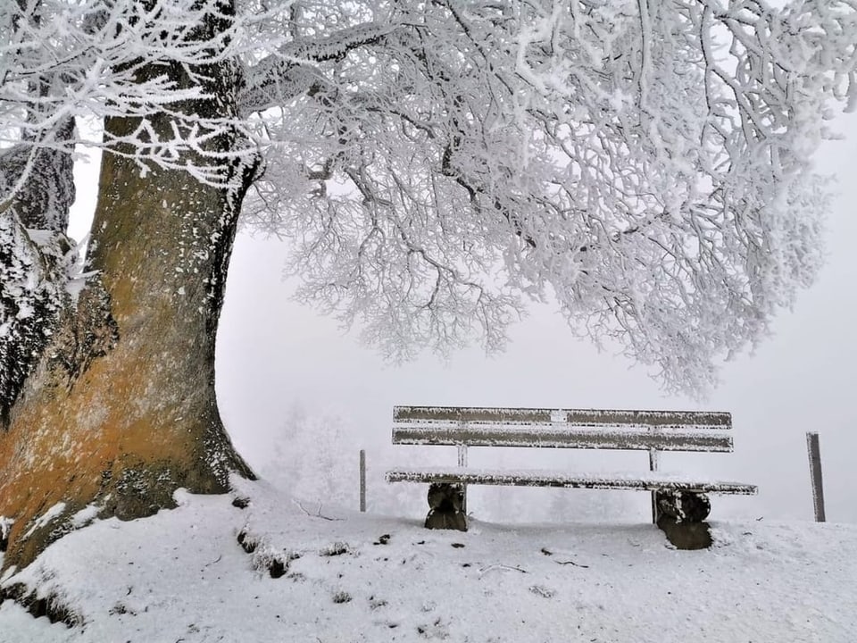 Mystische Winterstimmung im Nebel.