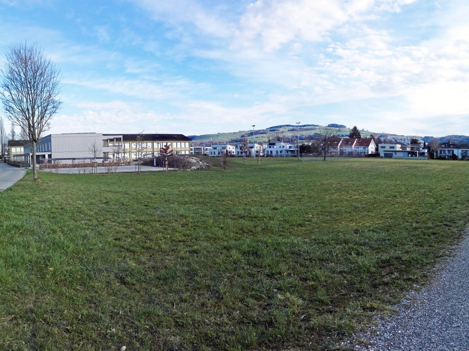 Blick auf die unbebaute Wiese beim Schulhaus Neufeld in Sursee