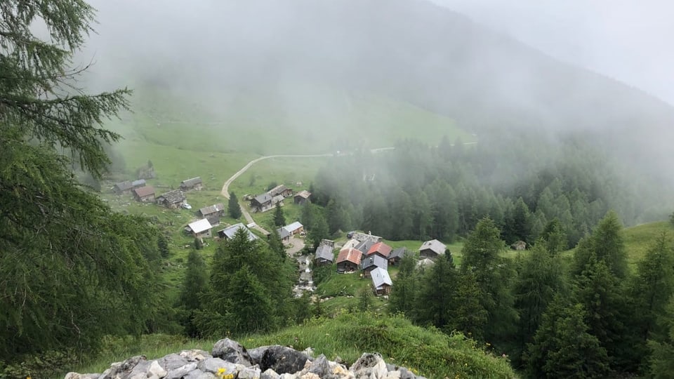 Bavugls, l'acla sur Pignia Bavugls, l'acla sur Pignia