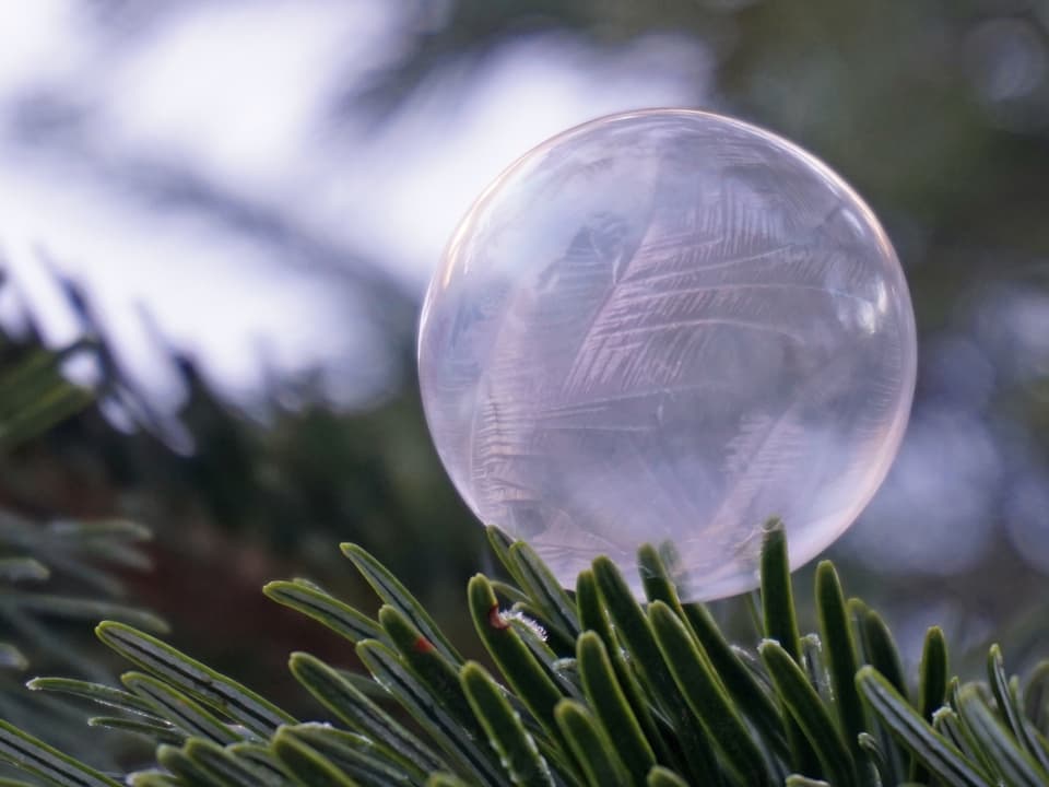 Ein gefrorene Seifenblase auf einem Zweig.