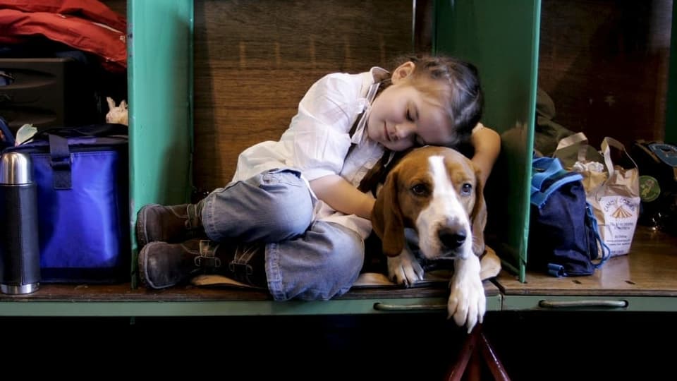Ein Mädchen schläft an ihren Hund gekuschelt an einer Hundeshow in England.