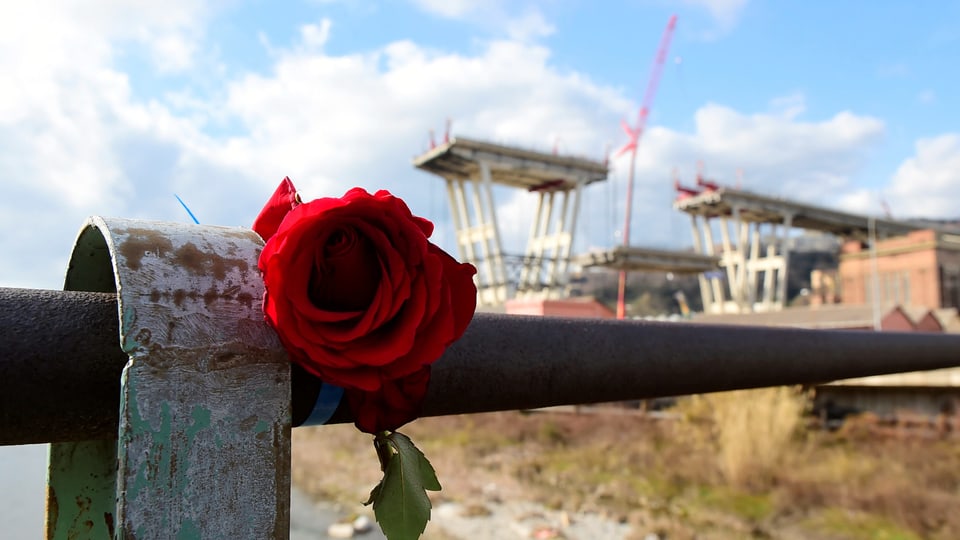 Eine Rose im Vordergrund, zwei Brückenpfeiler im Hintergrund
