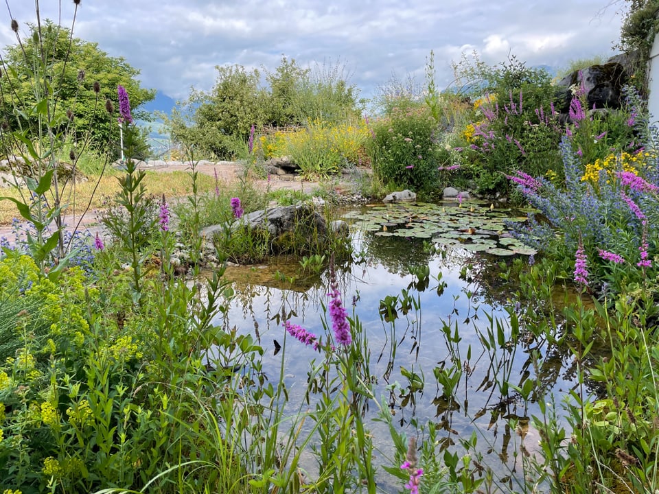 Ein Teich umrandet von violetten und gelben Blumen.