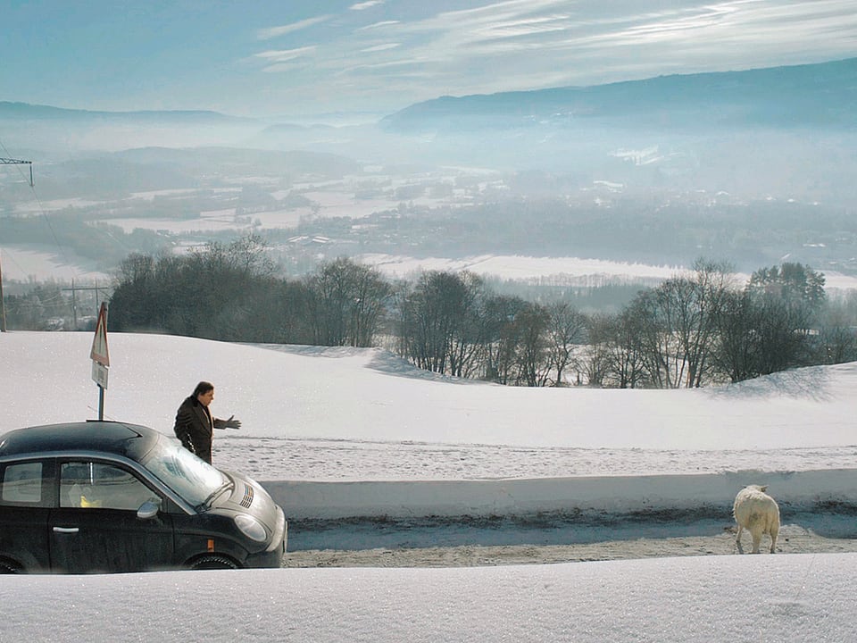 Verschneite Landschaft, Protagonist kann auf der Strasse nicht weiterfahren wegen einem Schaf. 
