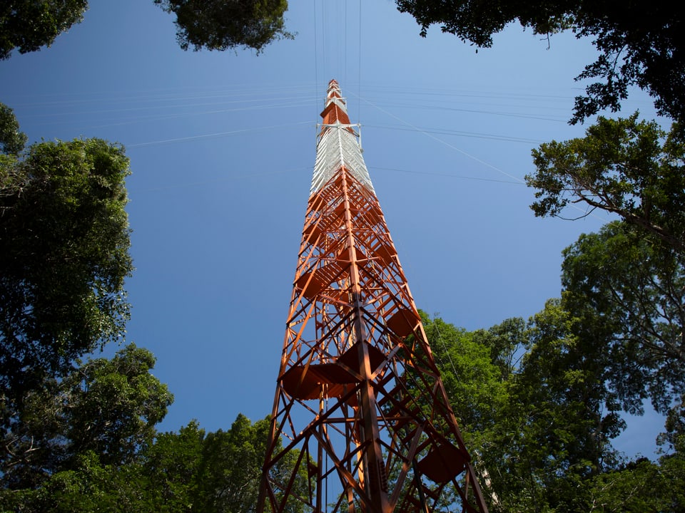 Blick vom Boden hinauf zur Spitze des Turms