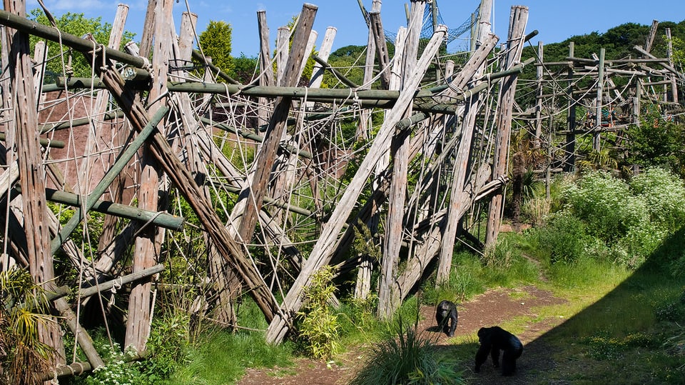 Ein Trail aus Baumstämmen am Rande eines Affengeheges im Edinburgh Zoo.