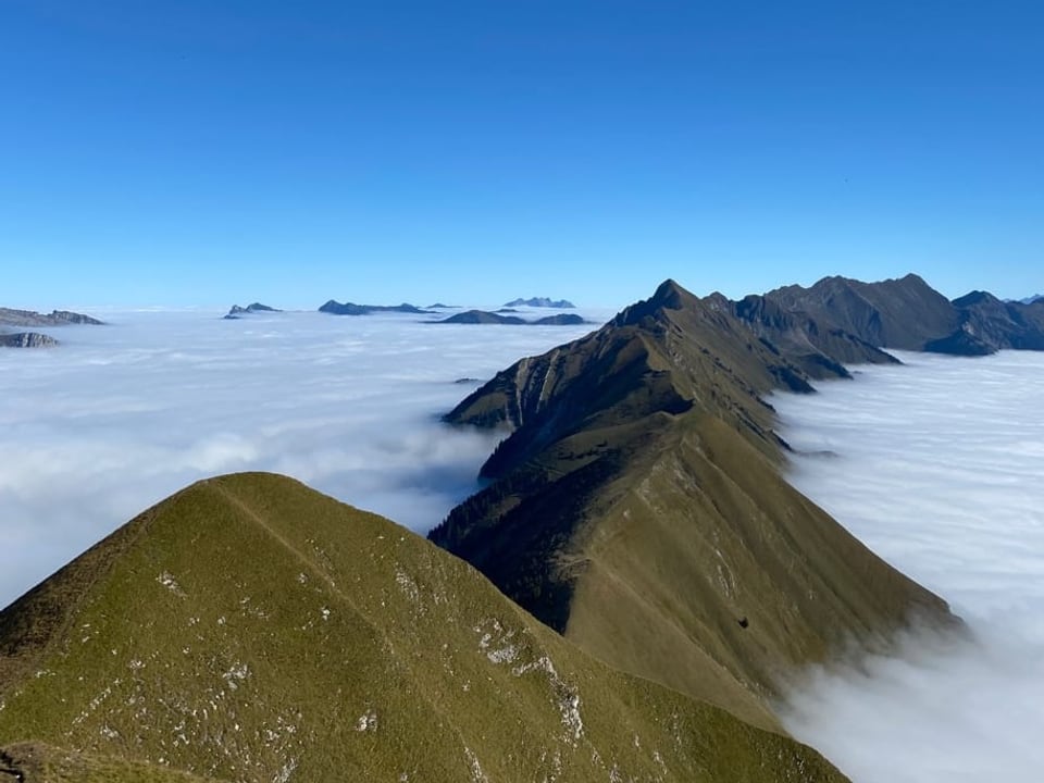 Bergkette mit grünen Wiesen, die aus dem Nebelmeer ragt. Darüber wolkenlos. 