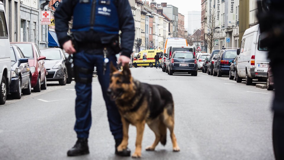 Ein Polizist steht mit Hund im Vordergrund, auf der Strasse im Hintergrund Polizei- und Rettungsfahrzeuge.