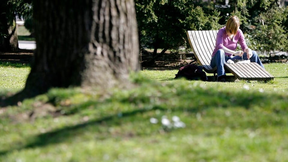 Park mit Baum und Frau auf einer Liegebank.