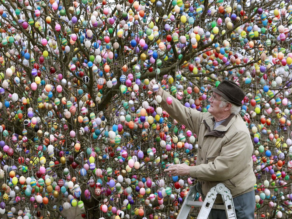 Mann hängt Eier an einen über und über mit Eiern behängten Baum.