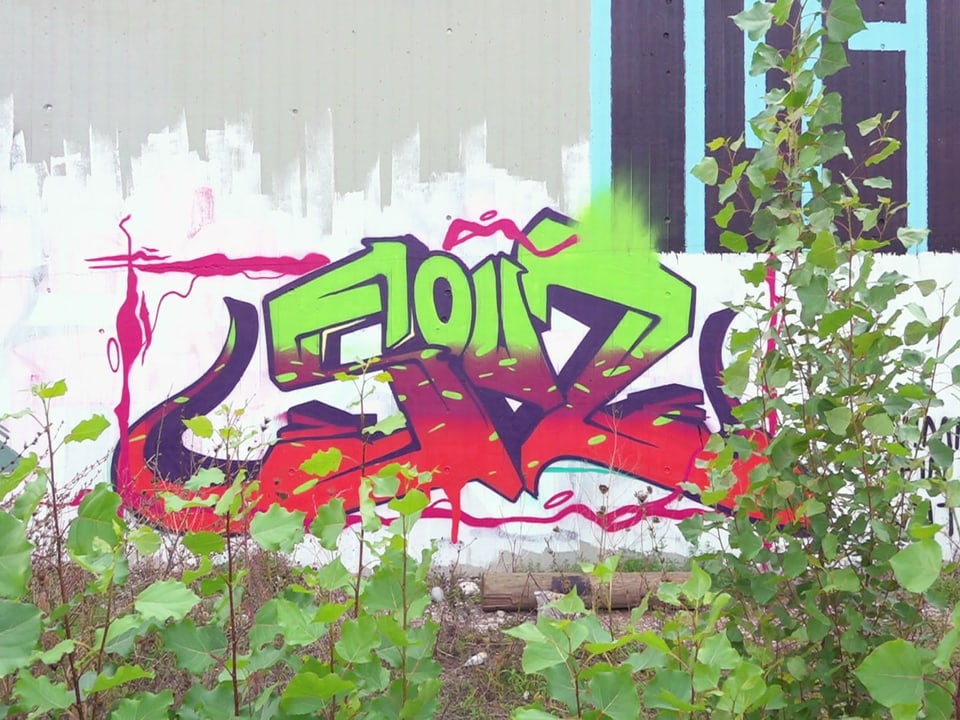 Mehrere Graffiti durch ein Gebüsch betrachtet