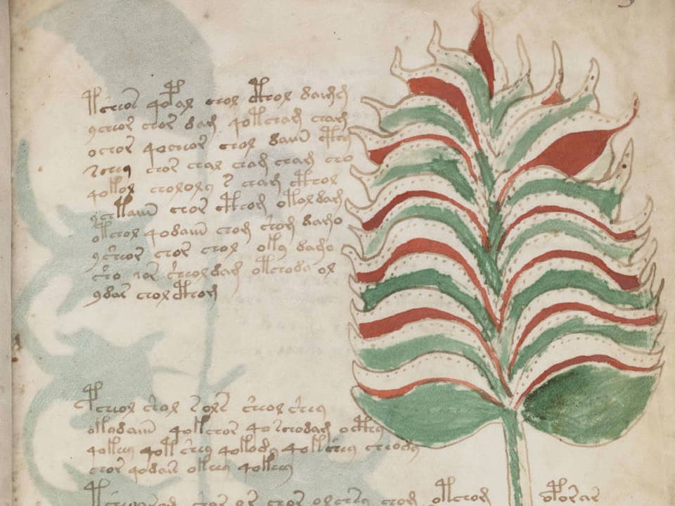 Eine Seite aus dem Voynich-Manuskript.