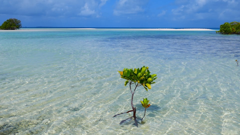 KlimaOpfer Kiribati Ein Land vor dem Untergang News SRF