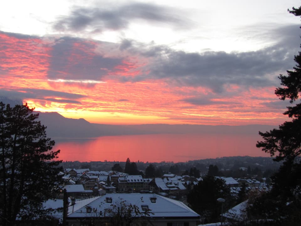 Die Abendsonne verfärbt die Wolken rötlich. Diese spiegeln sich im Genfersee.