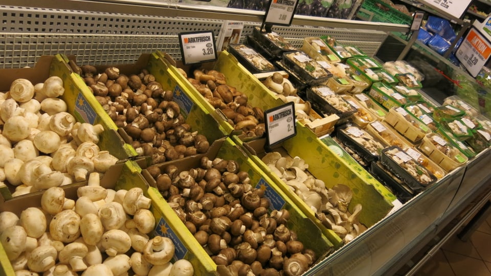 Pilzsortiment im Supermarkt 
