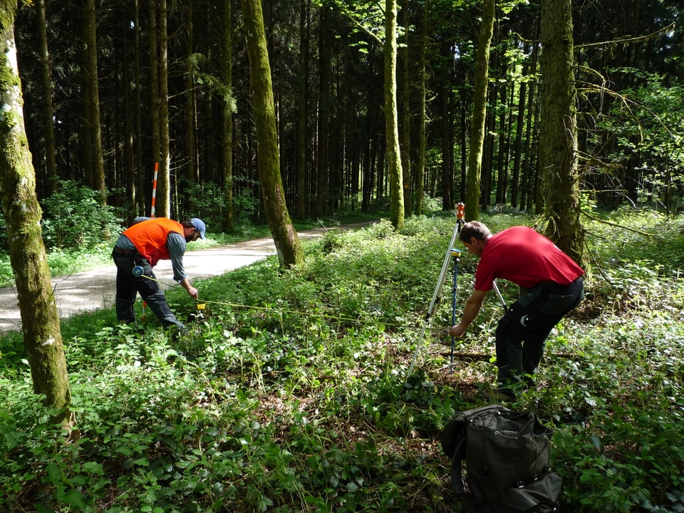 Zwei Männer arbeiten mit Messgereäten in einem Wald. 