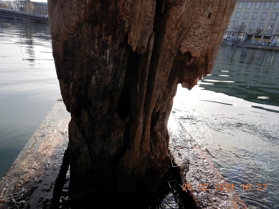 Ein morscher Holzpfosten ragt aus dem Wasser.