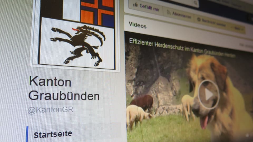 Medienpräsenz - Kantone betreiben eigenen Nachrichten ...