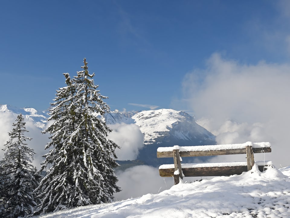Winterlangschaft mit blaum Himmel und Schnee auf Sitzbank und Fichten.