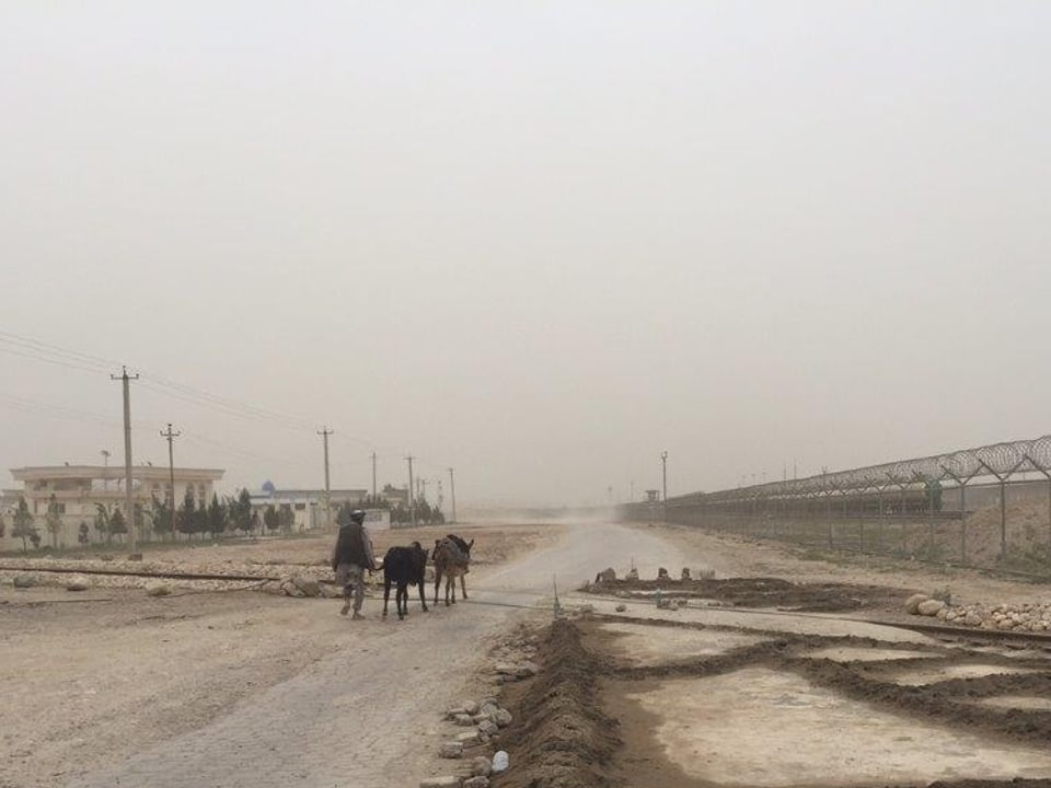 Grenzzaun in trister Wüstenlandschaft, daneben ein Mann mit zwei Eseln.