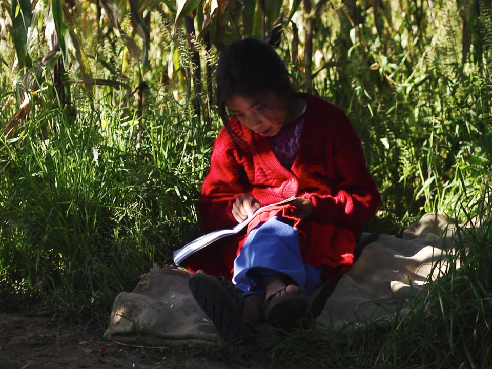 Das Mädchen Sonia liest im Schatten eines Baumes aus einem Buch.