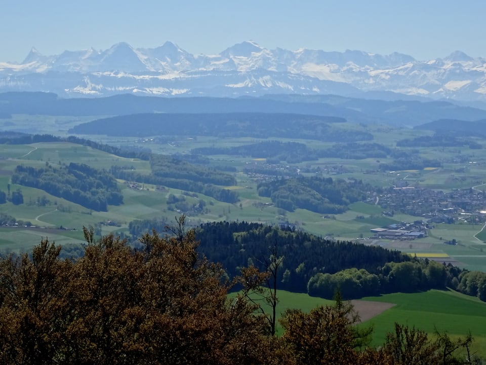 Atemberaubender Blick vom Bantiger Richtung Berner Alpen.