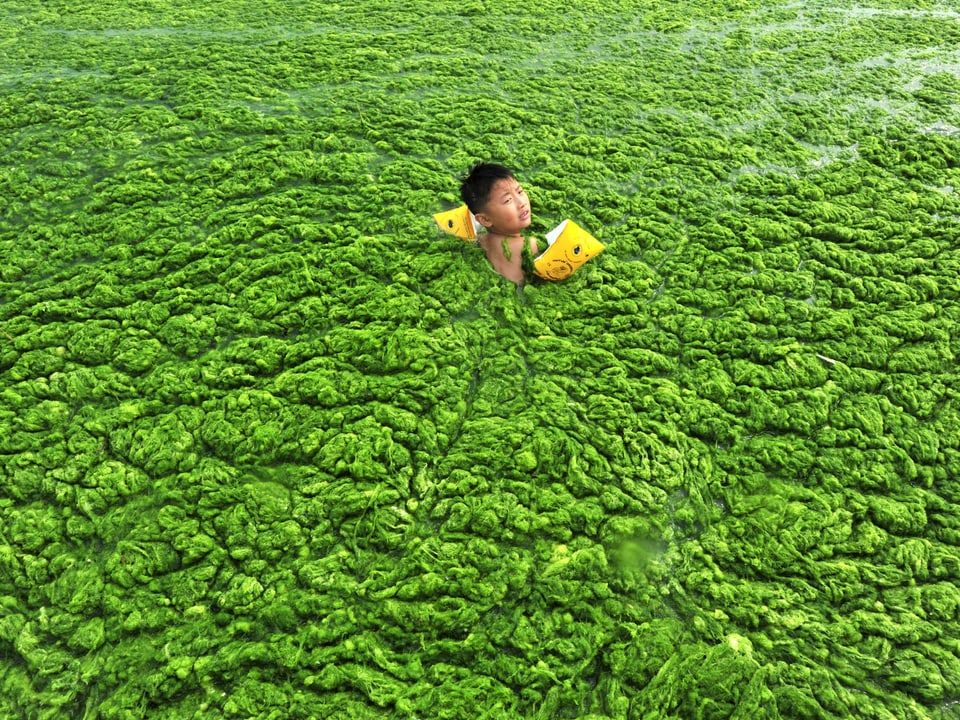 Kind schwimmt in Algen.
