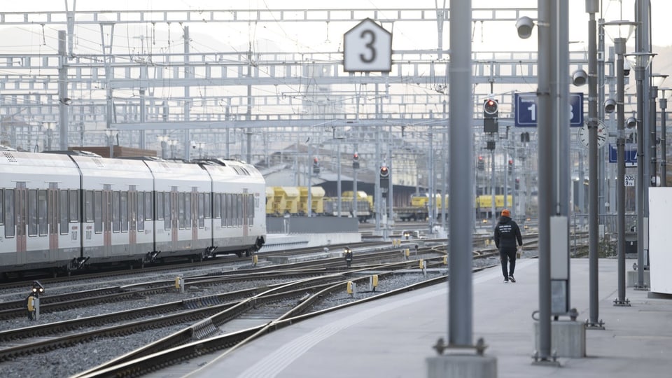 Ein Zug steht links, rechts davon läuft ein Mann auf einem Bahnhofperron