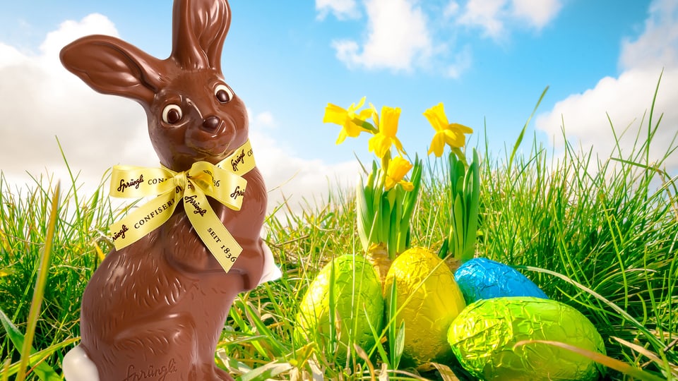Bildcollage mit einem Osterhasen aus Schokolade, der auf einer grünen Wiese neben Osterglocken steht.