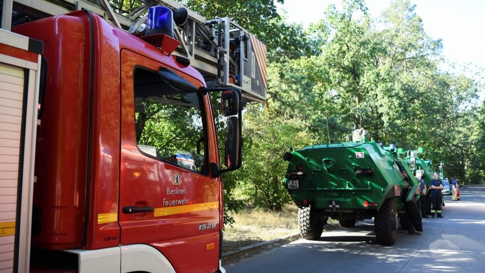 Fire engines at the edge of the forest