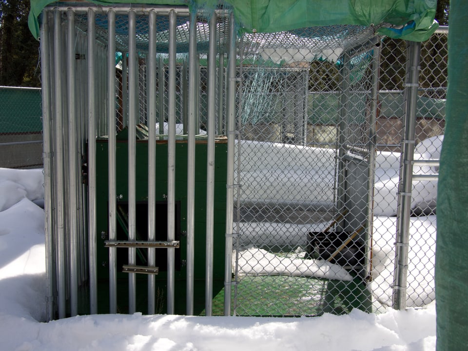 Diese Käfige beherrbergen die Bären während ihres Winterschlafs im Dienst der Wissenschaft.
